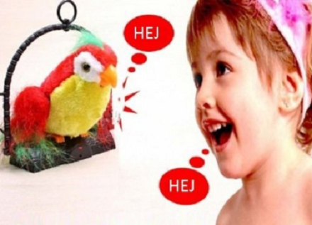 Papagaj koji govori - talking parrot_2